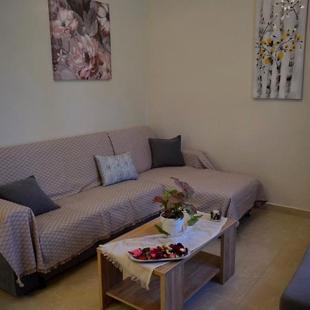 Dolphins House Apartment Lixouri Bagian luar foto
